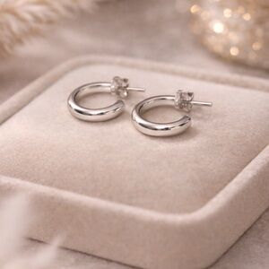 Elegant Tiffany Silver Hoop Earrings